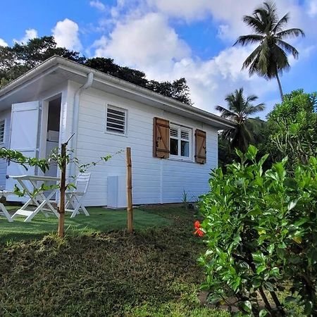 Ti-Hibiscus Bungalow T1 Clim-Wifi 30M2 2 Pers Grande Savane Exteriér fotografie